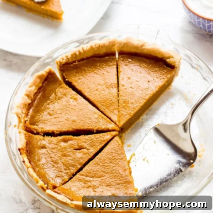 A whole Vegan Pumpkin Pie with a slice cut out.