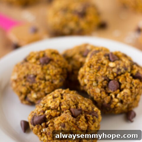 A plate of Pumpkin Chocolate Chip Oatmeal Breakfast Cookies.