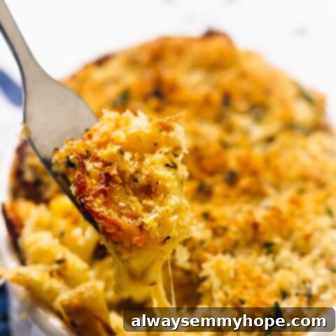 A baked dish of Vegan Pumpkin Mac and Cheese.