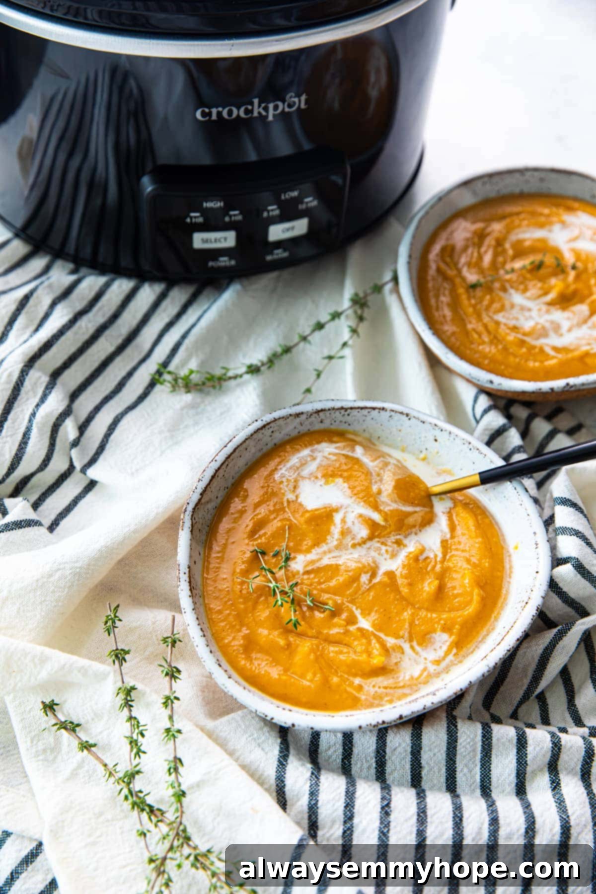 Vegan pumpkin soup in two bowls with slow cooker in background.