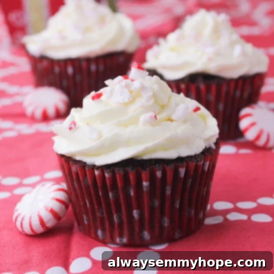 Chocolate Peppermint Swirl Cupcakes on a red tablecloth, ready for holiday celebrations.