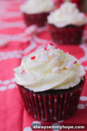 Close up of a frosted chocolate peppermint swirl cupcake, showcasing the rich chocolate and minty swirl.
