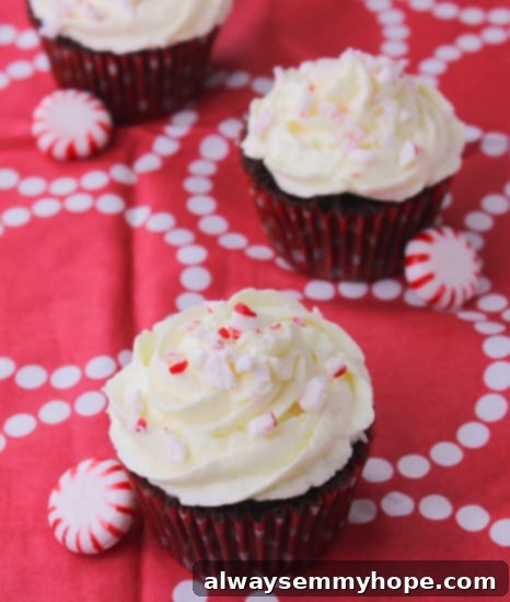 Three chocolate peppermint swirl cupcakes arranged on a red tablecloth, ready for a festive occasion.