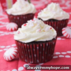 A row of three chocolate peppermint swirl cupcakes, perfectly frosted.