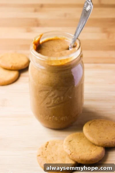 Side shot of cookie butter in a jar, with cookies. 