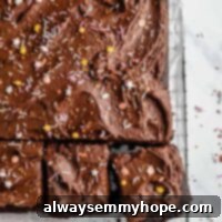 Squares of chocolate sheet cake.