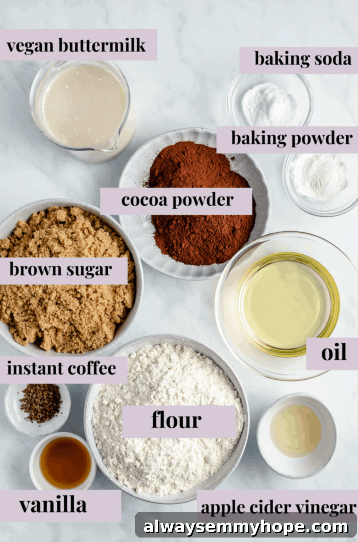 A vibrant flat lay of all the fresh ingredients required to bake a delicious vegan chocolate sheet cake.