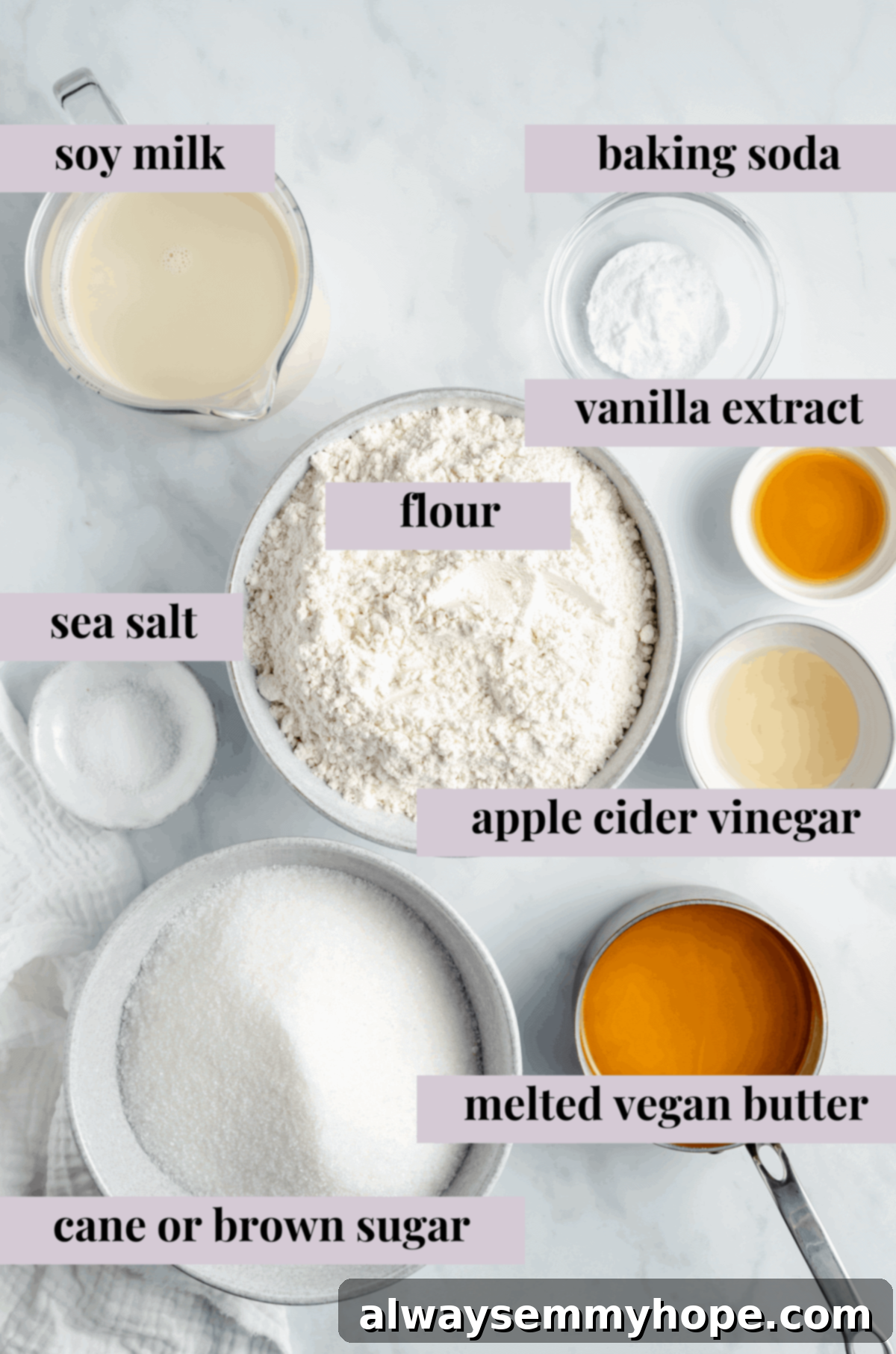 Everyday ingredients come together to create this amazing vegan vanilla cake with buttercream frosting. A perfect choice for any celebration! A collection of essential ingredients for baking a vegan vanilla cake, including flour, sugar, vegan milk, and vanilla extract, neatly arranged on a white surface.
