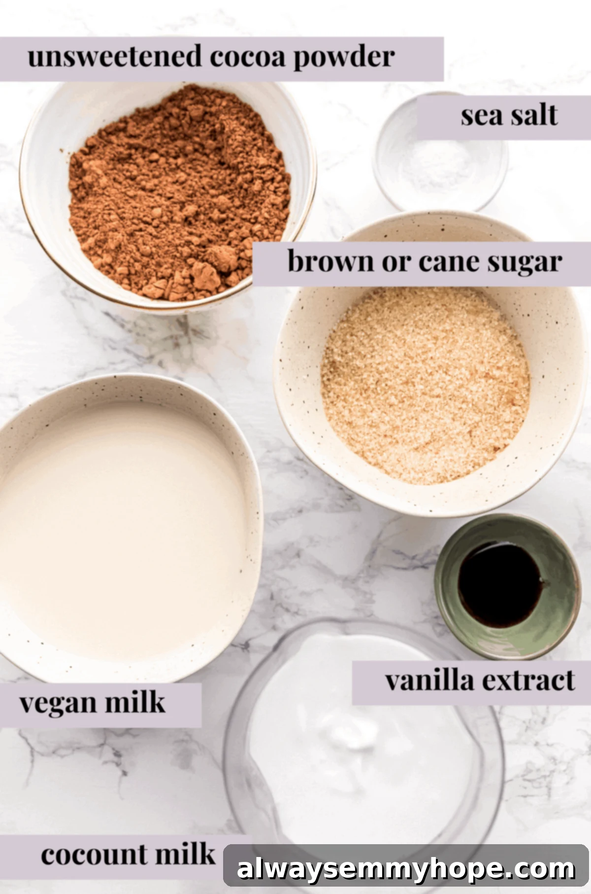 A clear view of all the simple ingredients required for your delicious vegan slow cooker hot chocolate. Ingredients laid out for slow cooker vegan hot chocolate: cocoa powder, brown sugar, salt, plant milk, coconut milk, vanilla extract