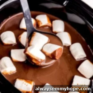 Creamy Slow Cooker Hot Chocolate 2 A ladle in a slow cooker filled with hot cocoa and vegan marshmallows with some cocoa and three marshmallows on ladle