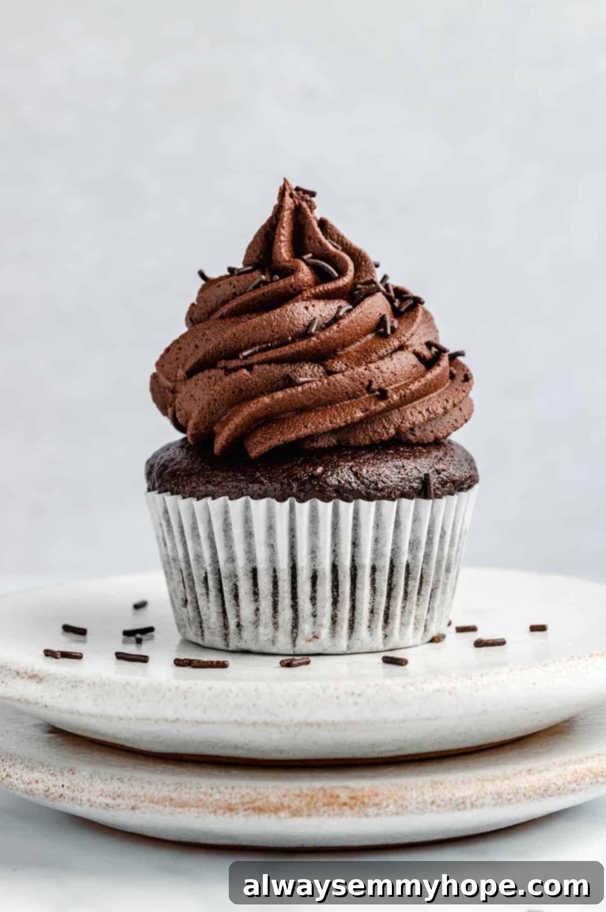 Decadent Dairy-Free Chocolate Cupcakes 11 a single vegan chocolate cupcake with frosting on two stacked plates, ready to be enjoyed