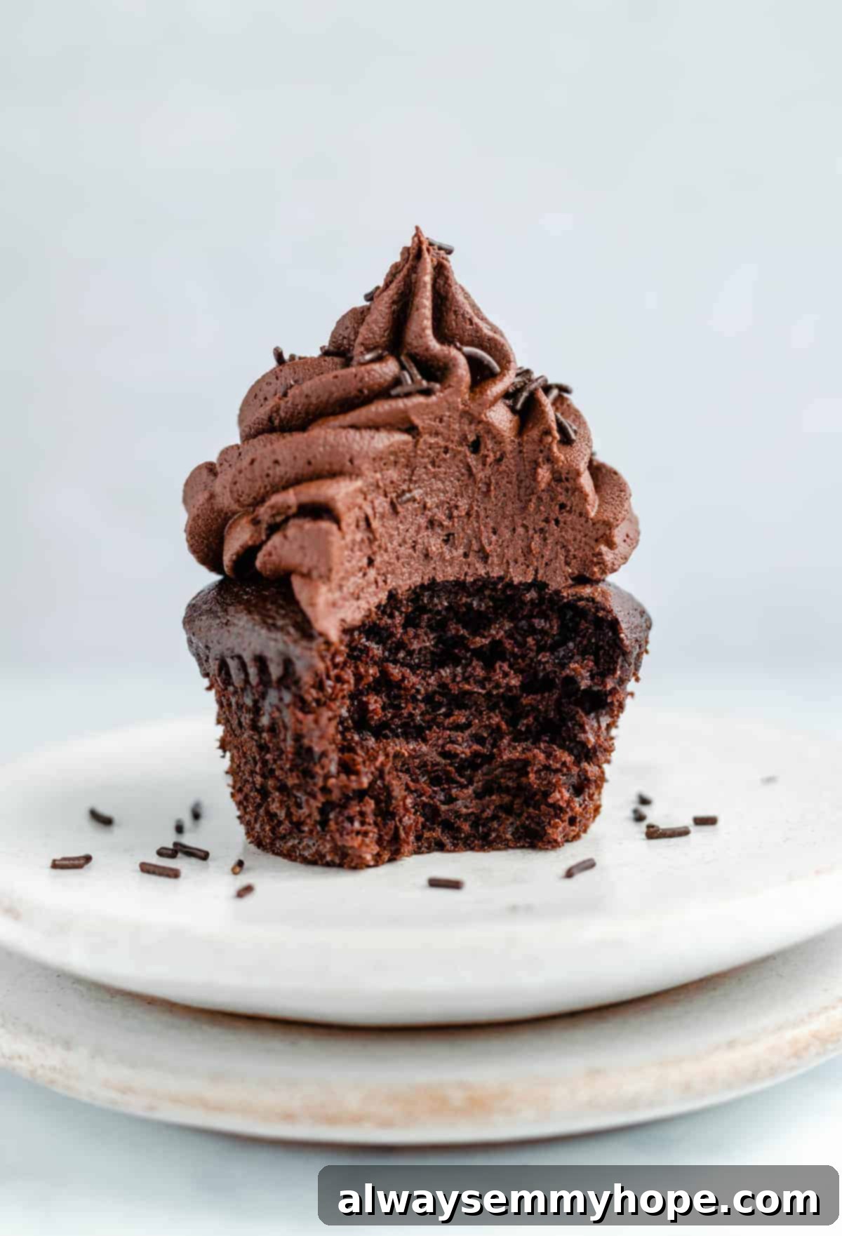 Decadent Dairy-Free Chocolate Cupcakes 12 single chocolate cupcake with frosting on a plate with a bite taken out of it, showing the moist interior