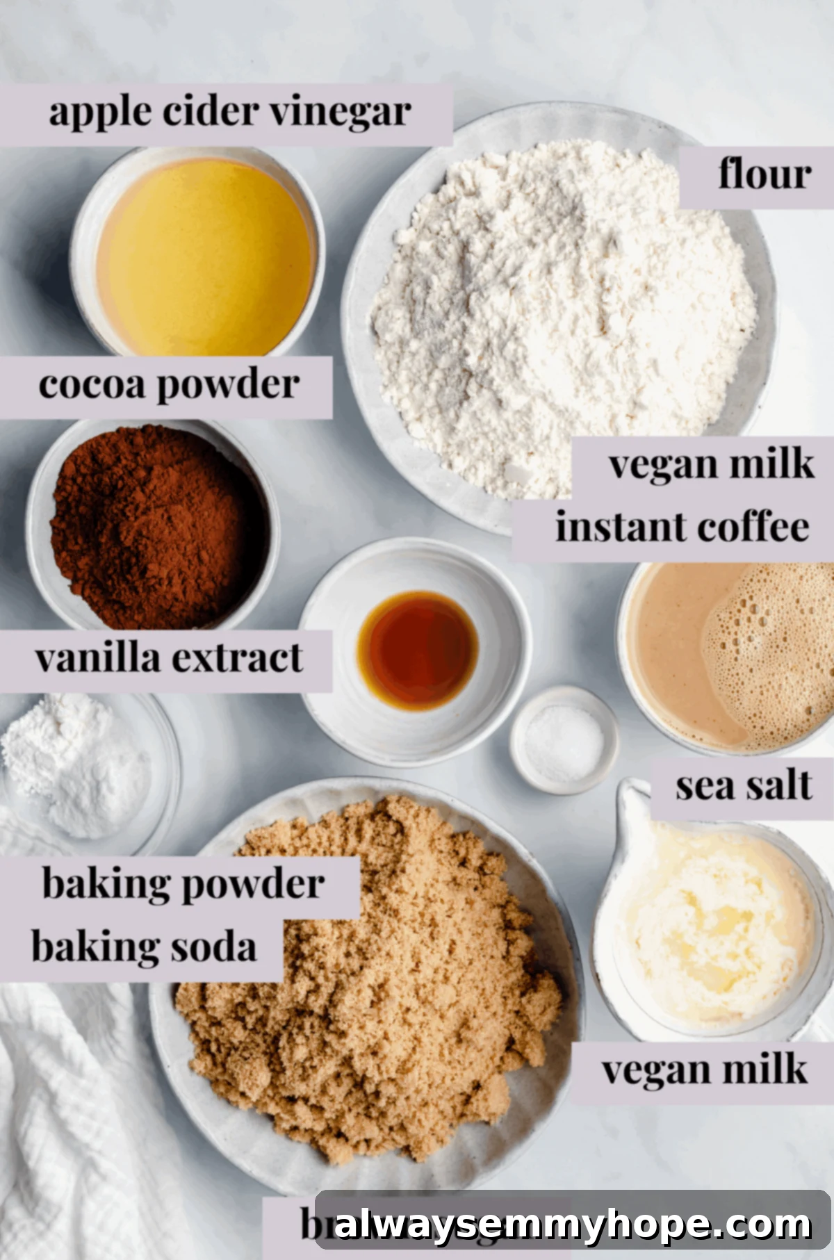 Decadent Dairy-Free Chocolate Cupcakes 3 Vegan chocolate cupcakes ingredients laid out with labels, showing essential components for baking