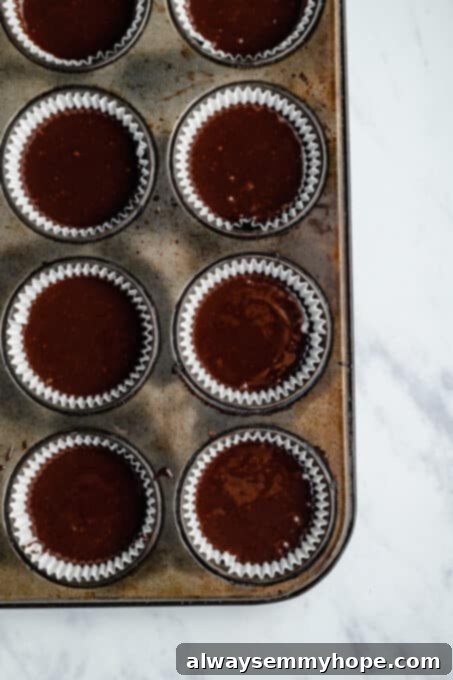 Decadent Dairy-Free Chocolate Cupcakes 6 vegan chocolate cupcakes batter divided into muffin liners