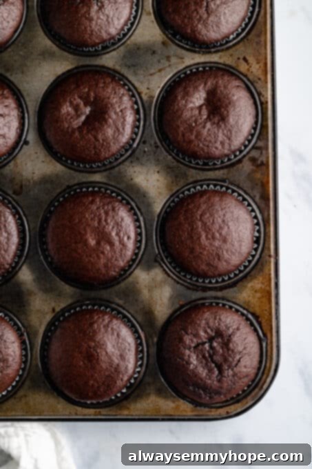 Decadent Dairy-Free Chocolate Cupcakes 7 freshly baked vegan chocolate cupcakes cooling in a muffin tin