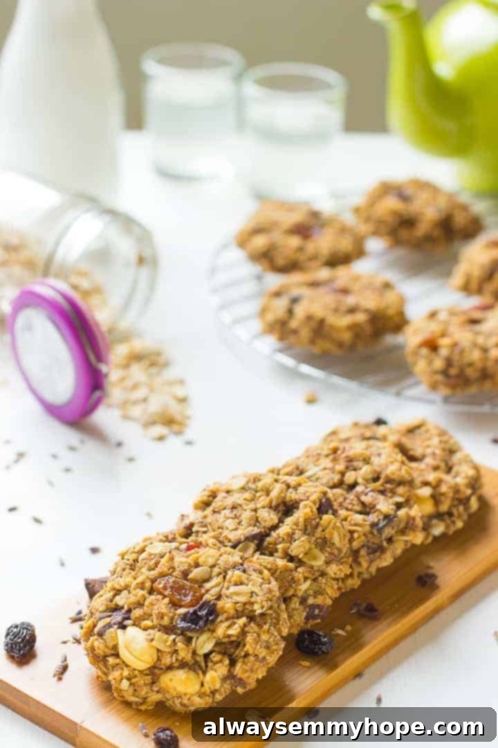 13 Irresistible Vegan Cookie Recipes 11 Wholesome banana oatmeal breakfast cookies, made in one bowl, perfect for a healthy and quick start to the day.