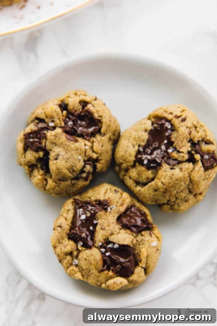 13 Irresistible Vegan Cookie Recipes 14 Irresistible salted chocolate chip tahini cookies, vegan and gluten-free, with a perfect balance of sweet and savory.