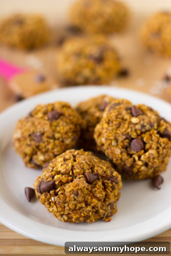 13 Irresistible Vegan Cookie Recipes 15 Soft and chewy pumpkin chocolate chip oatmeal breakfast cookies, showcasing their wholesome ingredients and creamy texture from peanut butter.