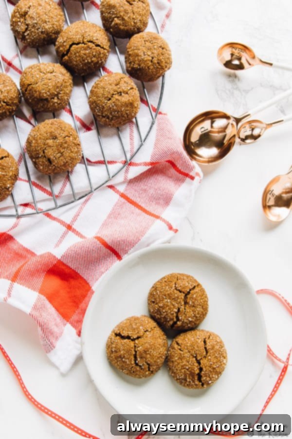 13 Irresistible Vegan Cookie Recipes 7 Soft and chewy vegan and gluten-free gingersnap molasses cookies, perfectly spiced for the holiday season.