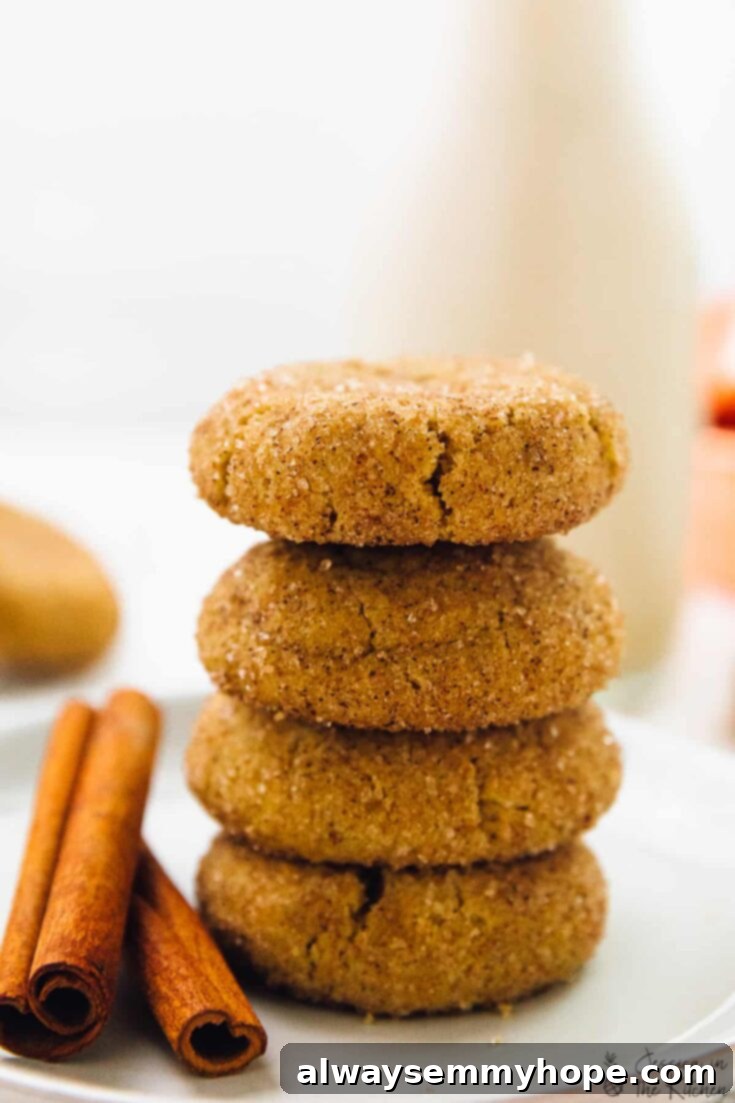 13 Irresistible Vegan Cookie Recipes 8 Thick, soft, and fluffy vegan snickerdoodle cookies, coated generously in cinnamon sugar.