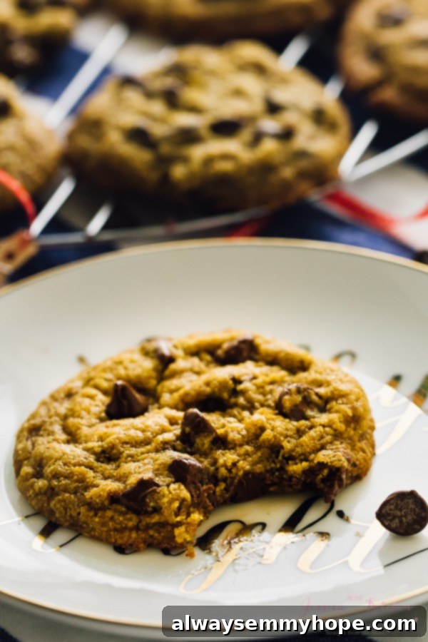 13 Irresistible Vegan Cookie Recipes 9 Deliciously soft and chewy vegan chocolate chip cookies that are also gluten-free, filled with plenty of chocolate chips.