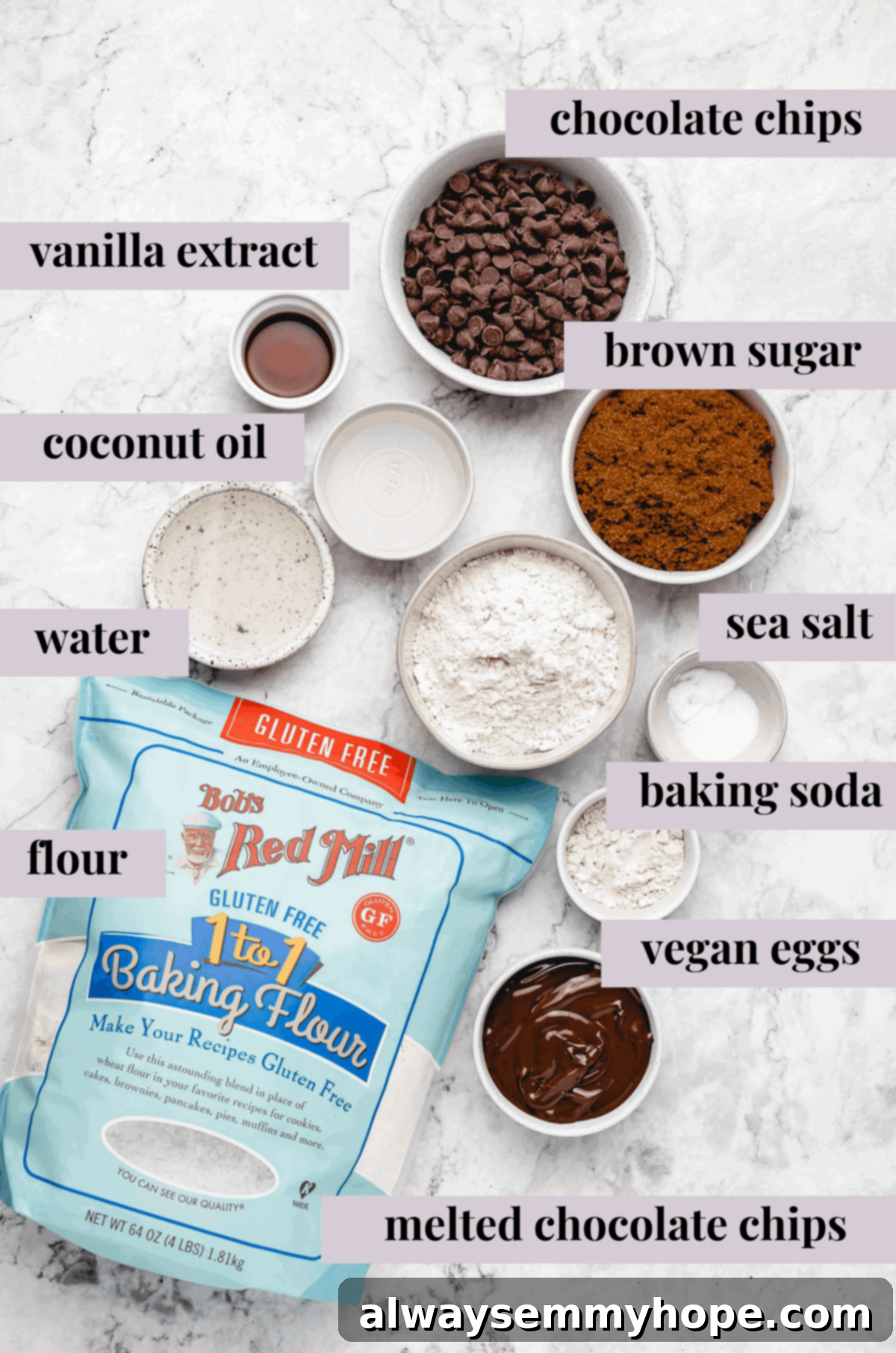 ingredients for gluten free brownies vegan with labels