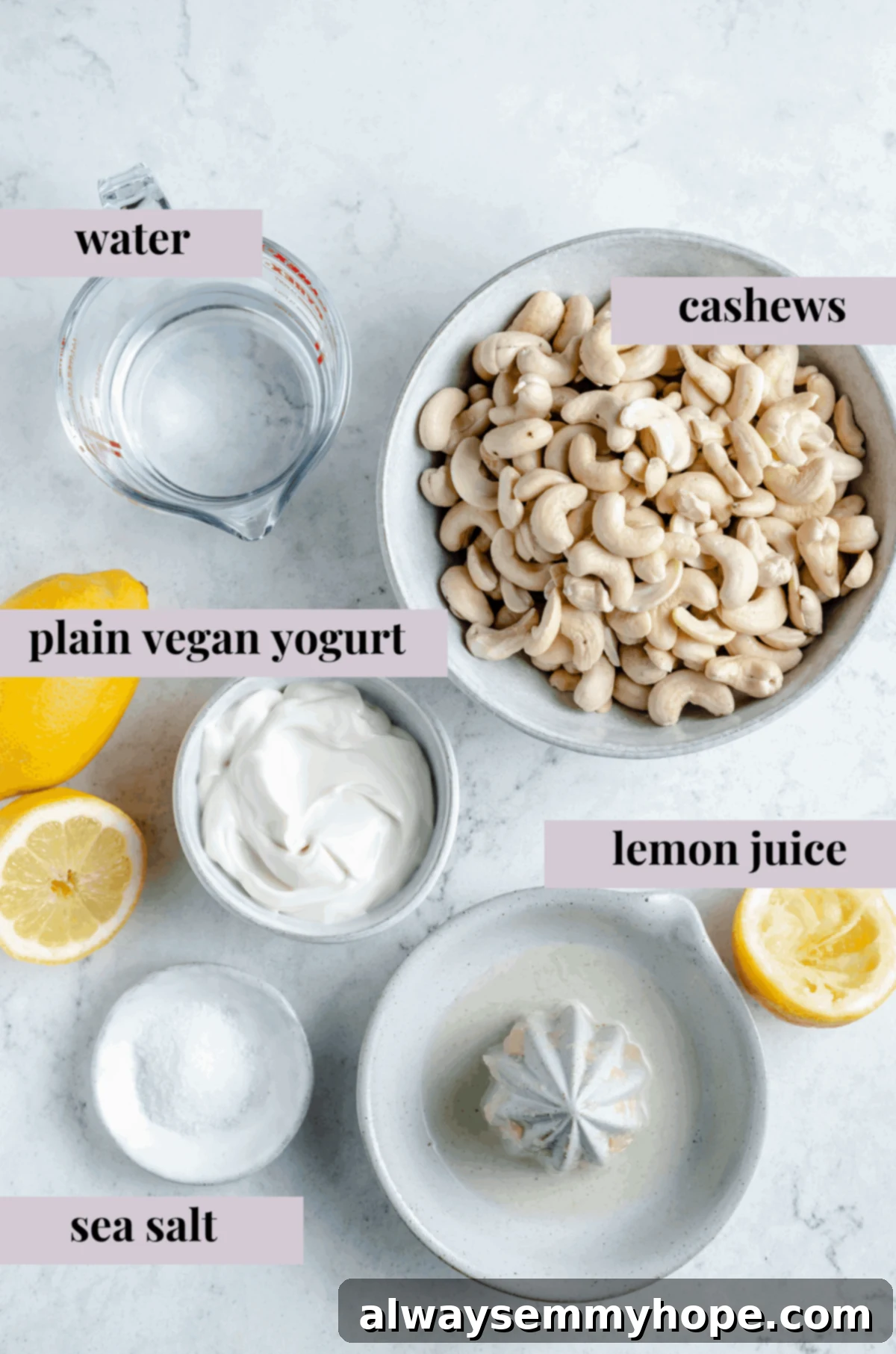 A selection of the five essential ingredients for homemade vegan cream cheese: raw cashews, water, plain vegan yogurt, lemon juice, and sea salt, arranged on a light surface.