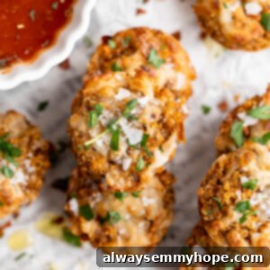 Quinoa Pizza Poppers 4 Stack of quinoa pizza bites garnished with herbs and sea salt