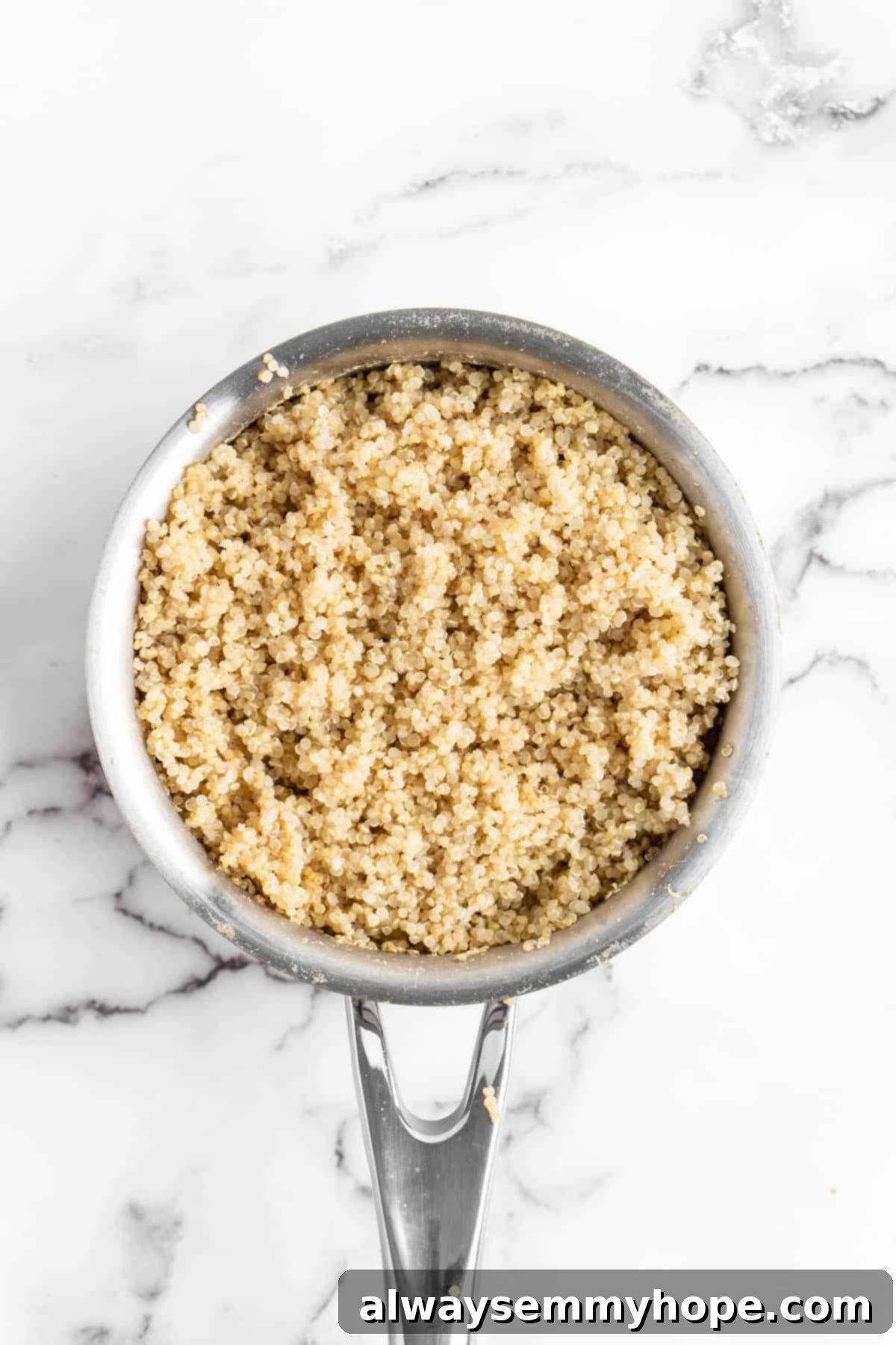 Fluffy cooked quinoa forms the healthy, protein-rich foundation of these amazing pizza bites. Overhead view of perfectly cooked fluffy quinoa in a pan, ready for mixing
