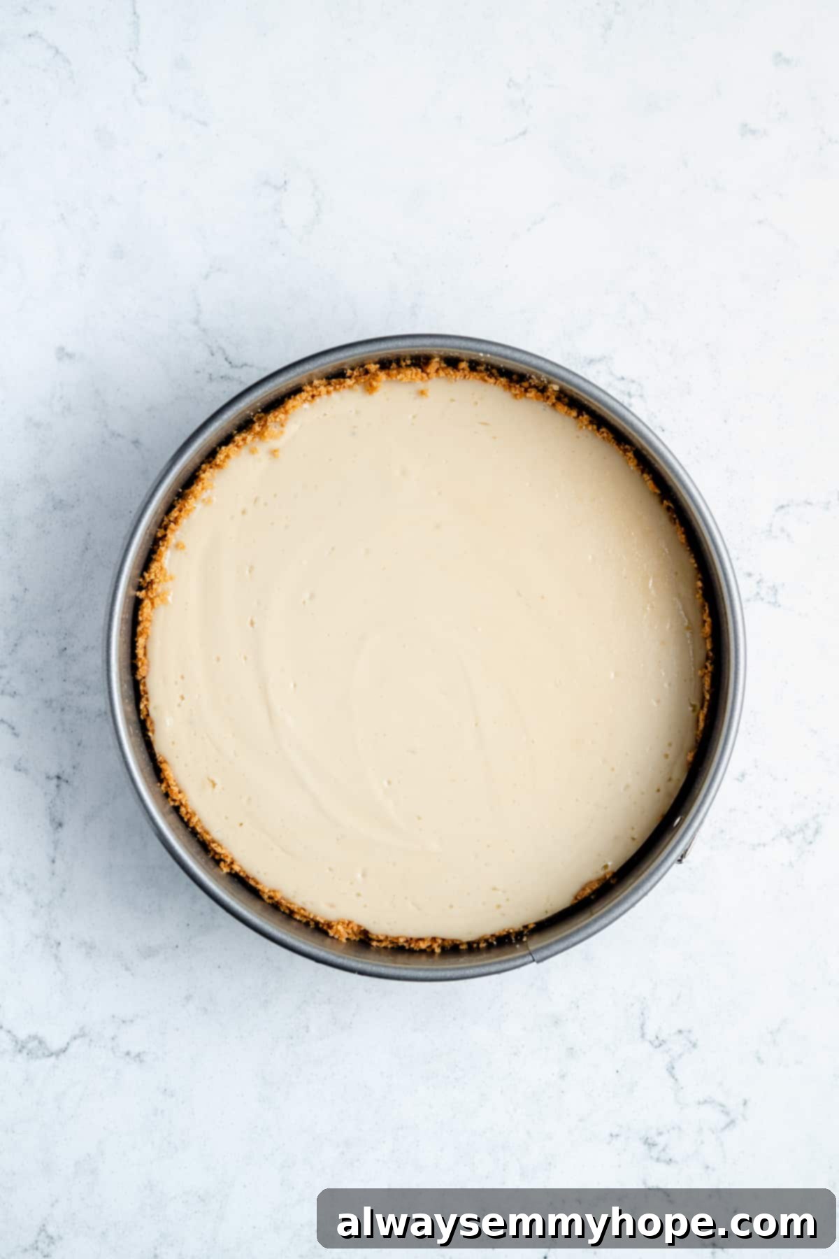 A beautifully baked vanilla vegan cheesecake with a golden graham cracker crust, freshly removed from the oven and cooling.