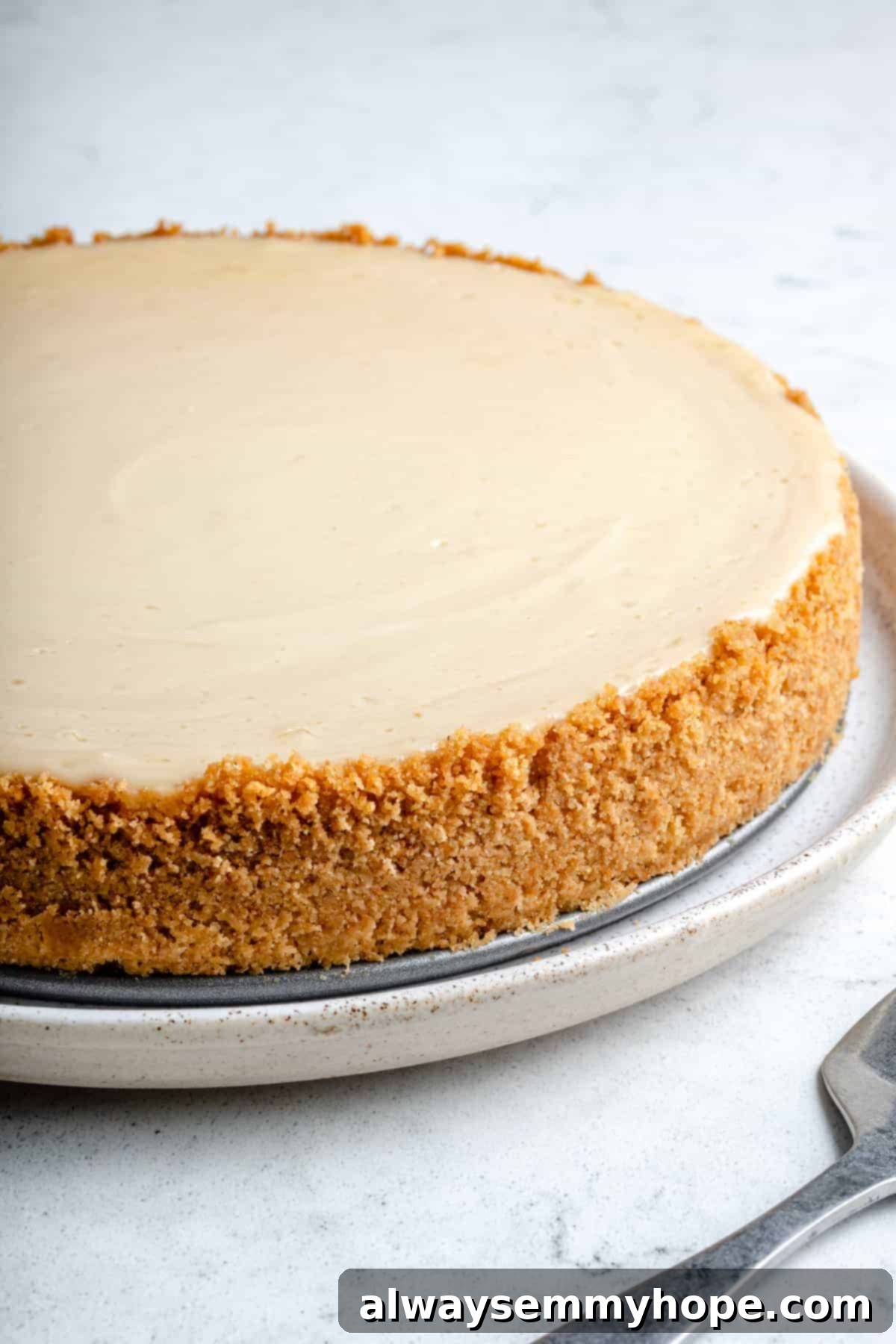 A delectable slice of creamy vegan cheesecake on a white plate, ready to be enjoyed as a perfect dessert.