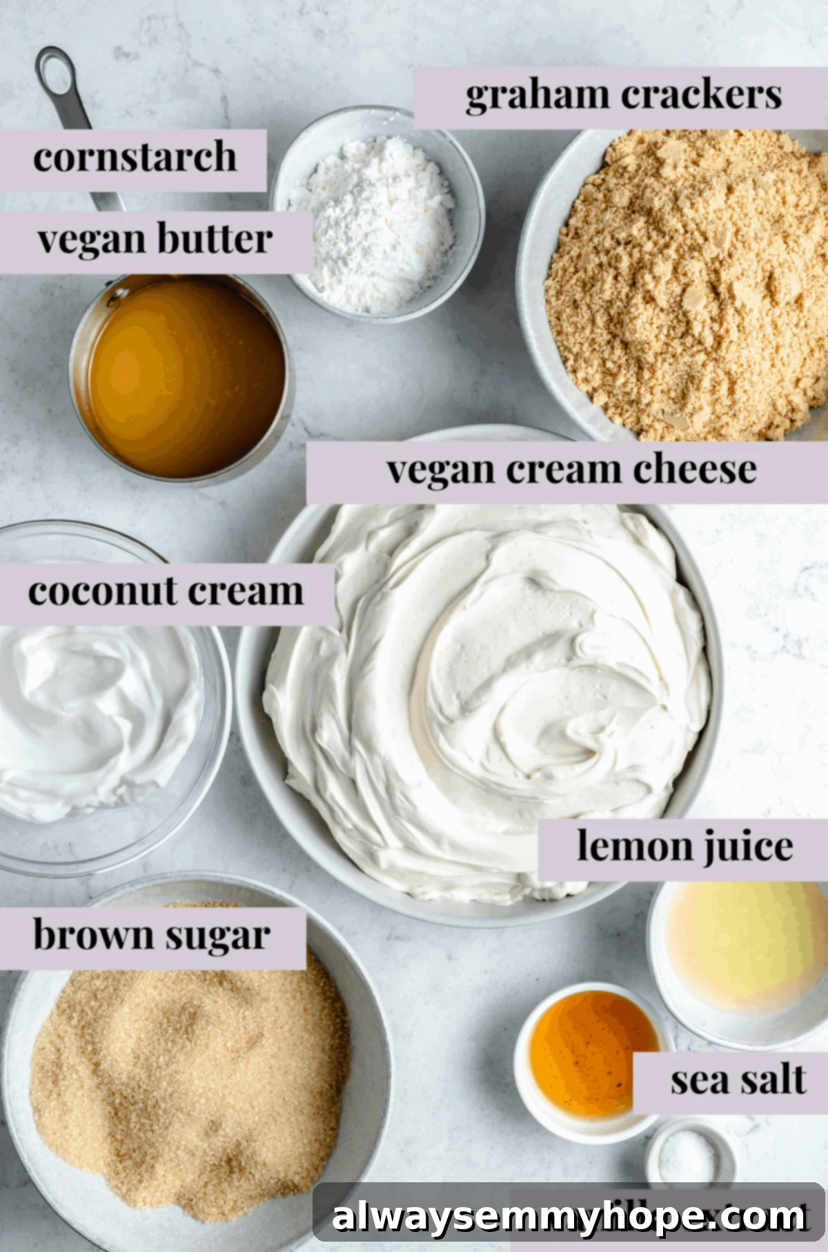 Various ingredients laid out for making creamy vegan cheesecake, including vegan cream cheese, graham crackers, sugar, and coconut cream.