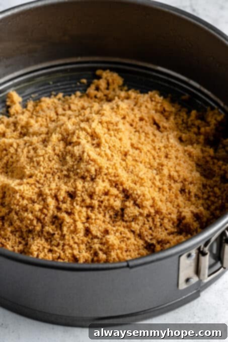Graham cracker crumbs being pressed into the bottom of a springform pan, forming an even layer for the cheesecake crust.