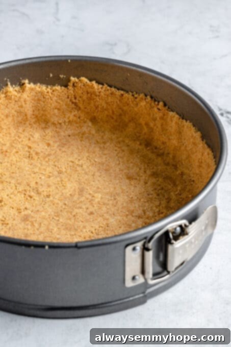 The graham cracker crust fully pressed into a springform pan, creating a compact and uniform base ready for baking.