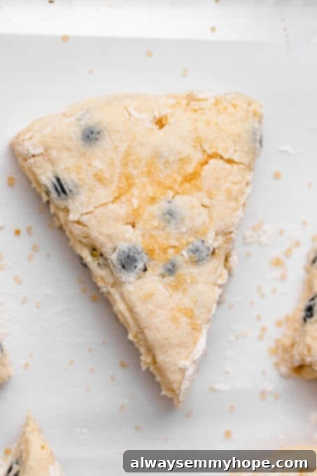 Fluffy Vegan Scones 11 Close-up of an unbaked scone piece, topped with coarse sugar, ready for the oven