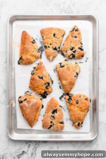 Fluffy Vegan Scones 12 A freshly baked, golden-brown vegan scone on a cooling rack