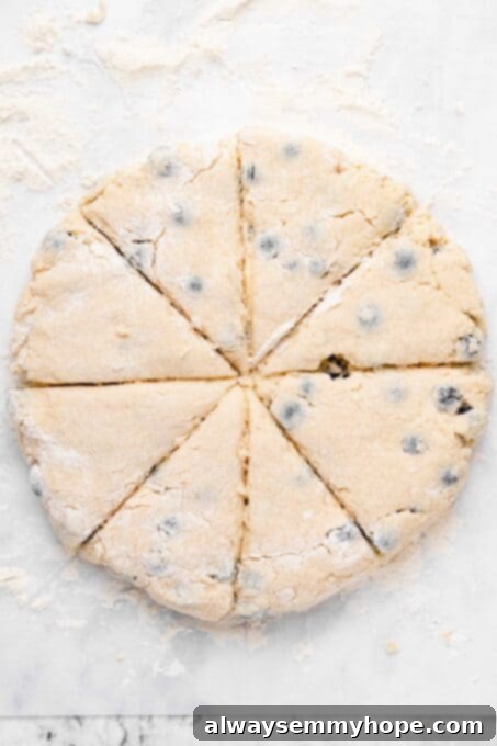 Fluffy Vegan Scones 9 Scone dough neatly cut into 8 even triangular pieces on a floured surface