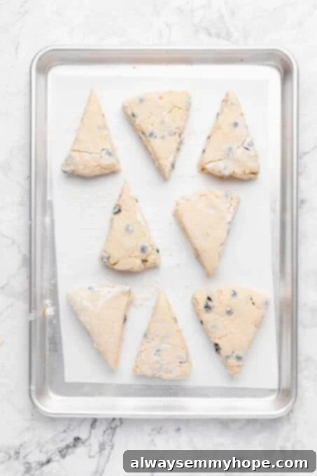 Fluffy Vegan Scones 10 Eight triangular scone dough pieces evenly spaced on a parchment paper-lined cookie sheet, ready for chilling