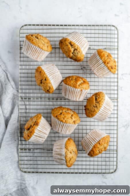 Garden-Fresh Vegan Zucchini Muffins 13 Baked muffins cooling in their wrappers in a muffin pan.
