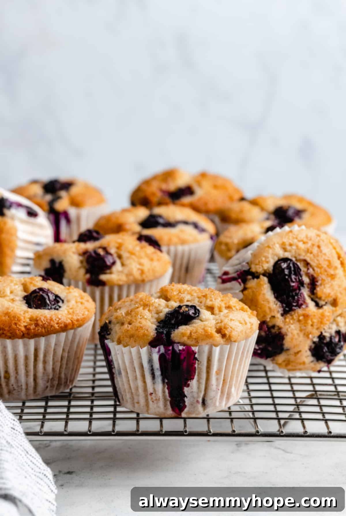 Ultimate Vegan Blueberry Muffins 2 Freshly baked vegan blueberry muffins in paper liners, showcasing their golden-brown tops and generous blueberry distribution.