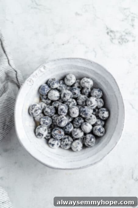 Ultimate Vegan Blueberry Muffins 12 Fresh blueberries lightly coated with flour in a bowl, ready to be added to the batter.
