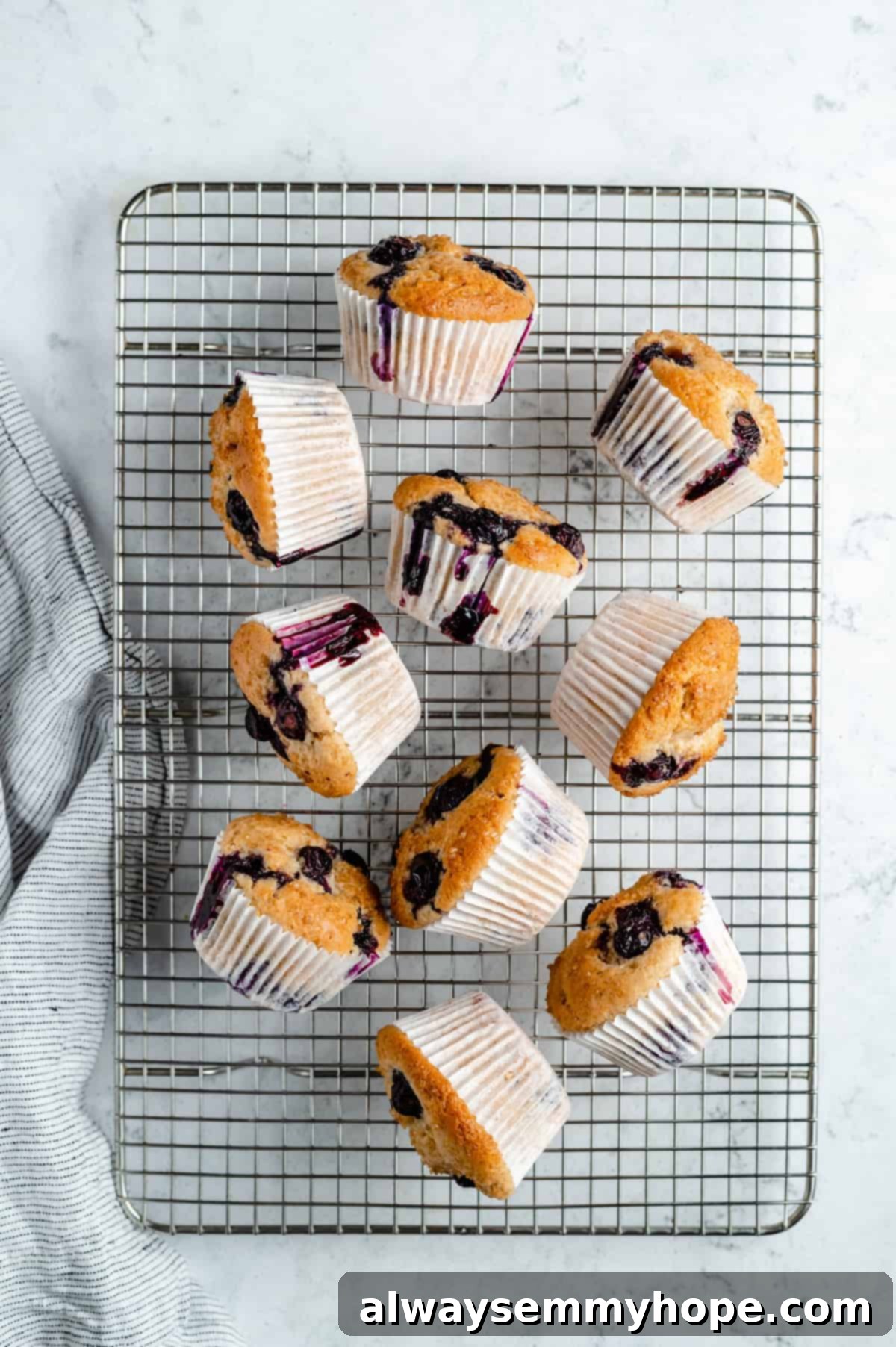 Ultimate Vegan Blueberry Muffins 15 Freshly baked vegan blueberry muffins cooling on a wire rack, with some turned on their sides.