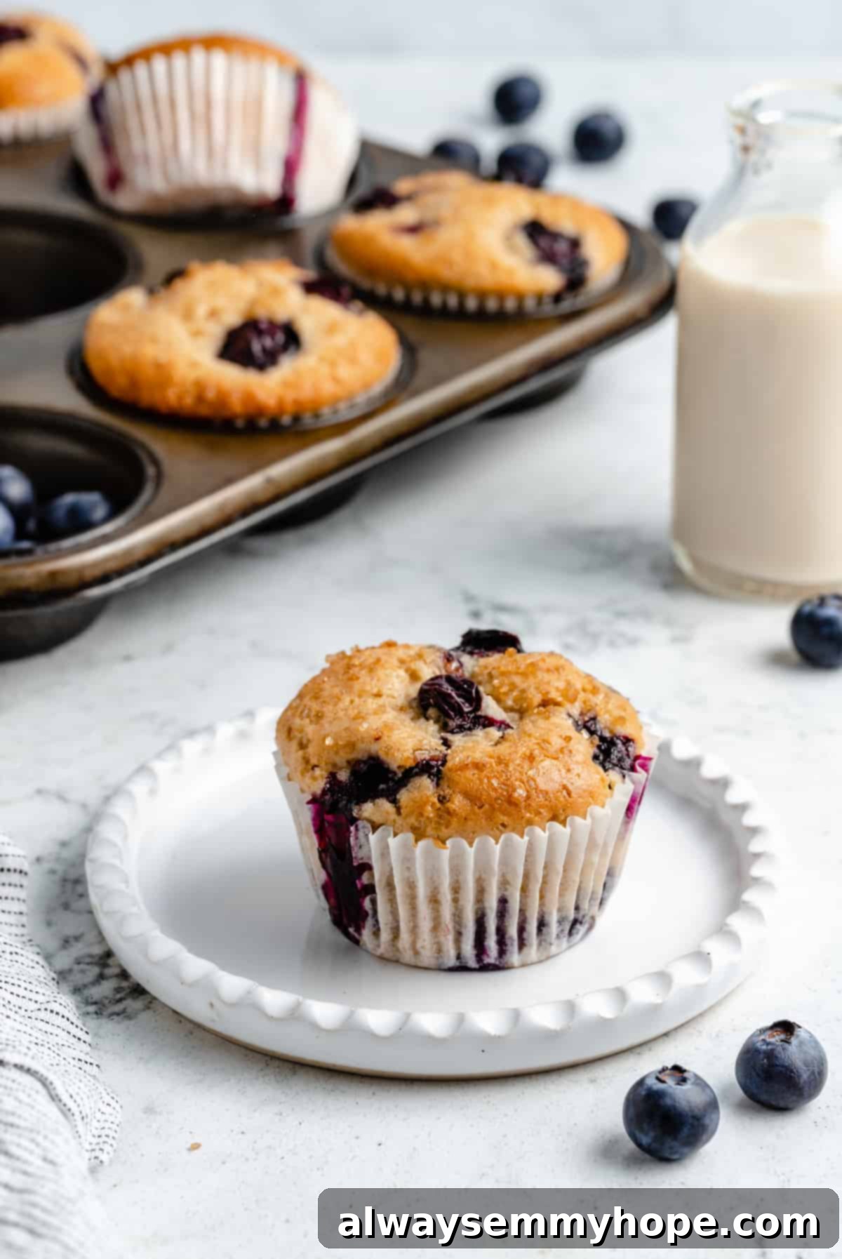 Ultimate Vegan Blueberry Muffins 16 A single vegan blueberry muffin on a small white plate, showing its delicate texture and golden top.
