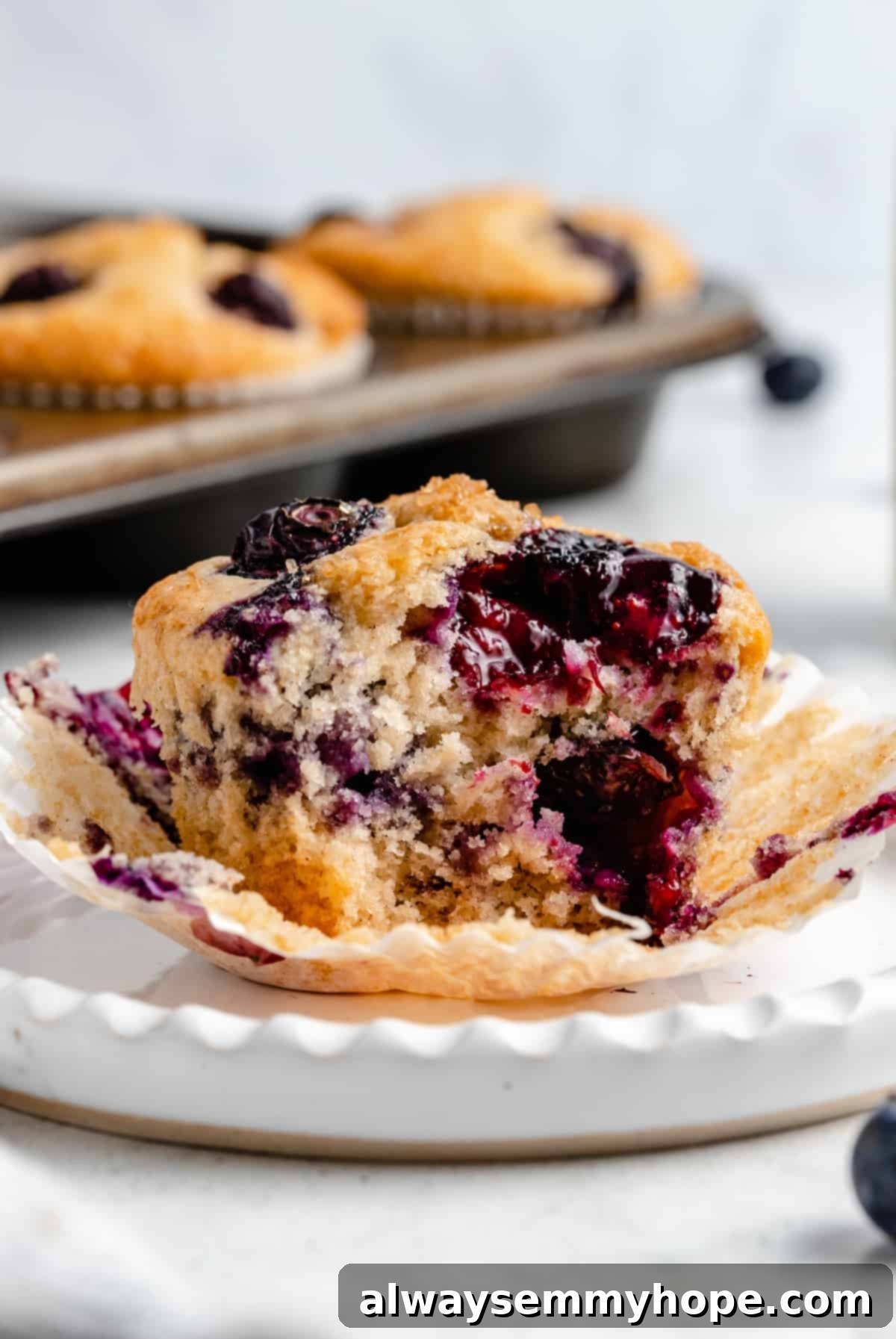 Ultimate Vegan Blueberry Muffins 17 A vegan blueberry muffin with a bite taken out, revealing its fluffy interior and numerous blueberries.