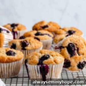 Ultimate Vegan Blueberry Muffins 18 Vegan blueberry muffins in their wrappers, golden brown and speckled with berries.