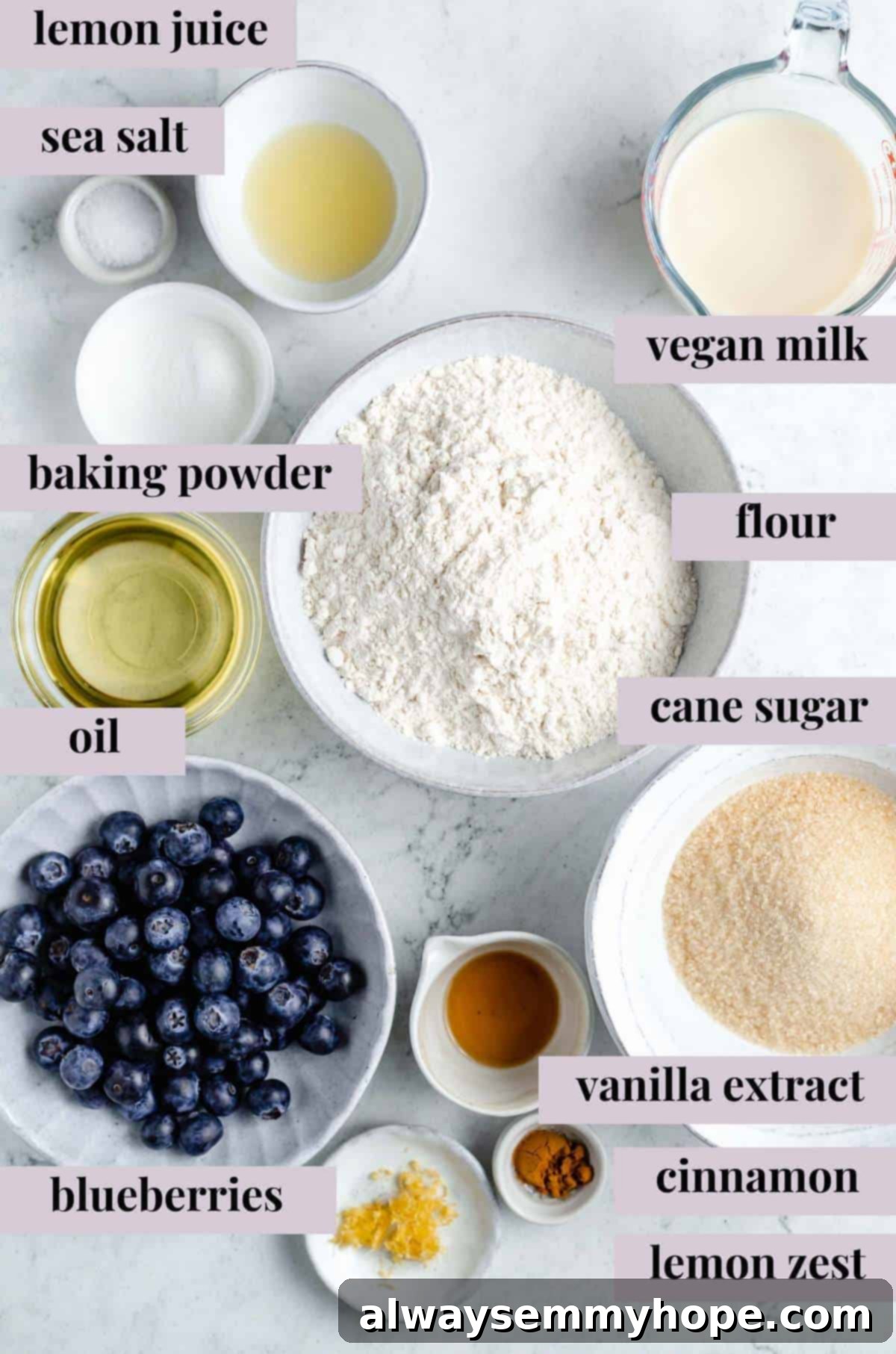 Ultimate Vegan Blueberry Muffins 4 An overhead shot of various ingredients for vegan blueberry muffins laid out on a wooden surface, including flour, sugar, blueberries, and liquids.