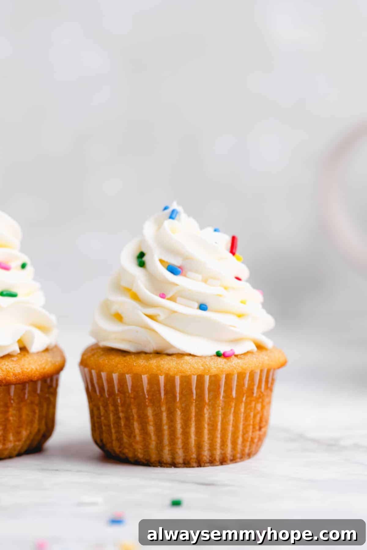 A single vegan vanilla cupcake beautifully frosted with vanilla buttercream.