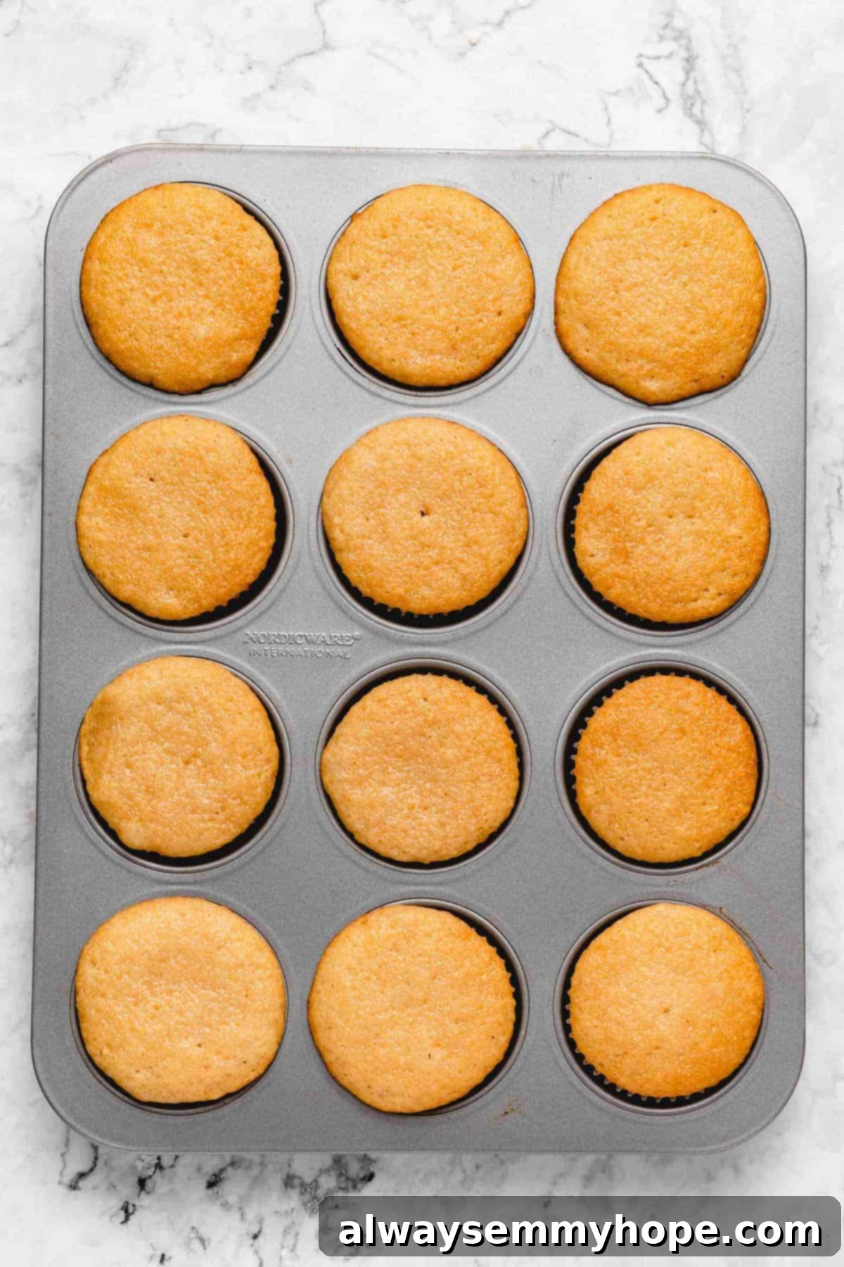Freshly baked vegan vanilla cupcakes cooling in their pan.