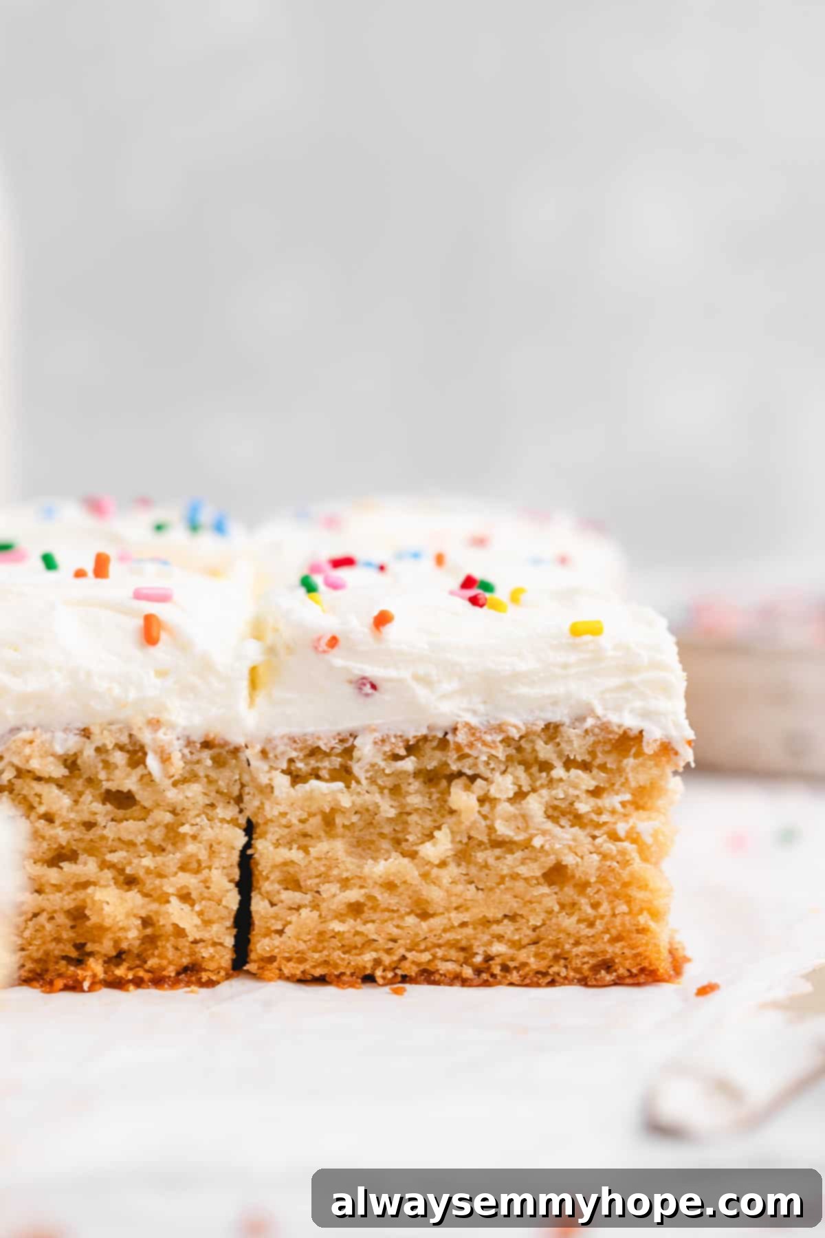Frosted cake squares with rainbow sprinkles, showcasing a slice of delicious vegan vanilla sheet cake.