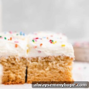 Frosted cake squares with rainbow sprinkles.